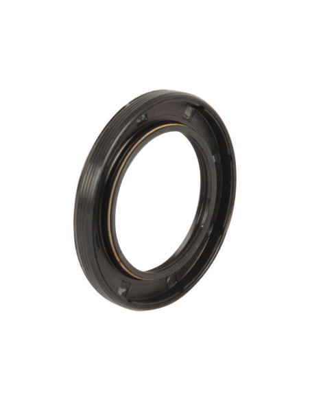 Reten (Carrara 20.18)