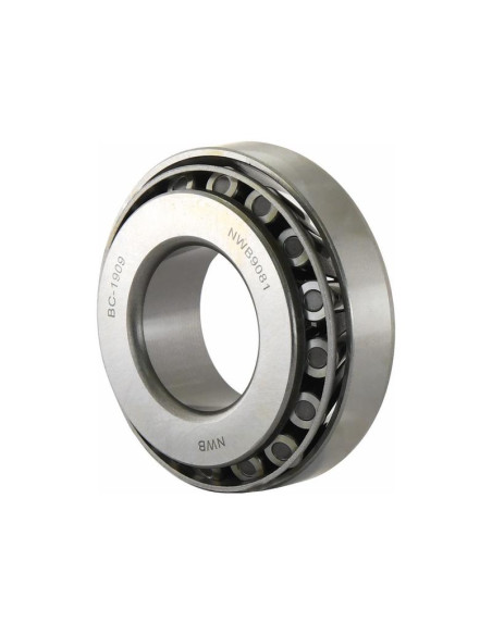 Rodamiento del diferencial