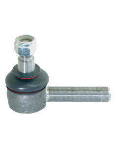 Rótula, Longitud: 119mm