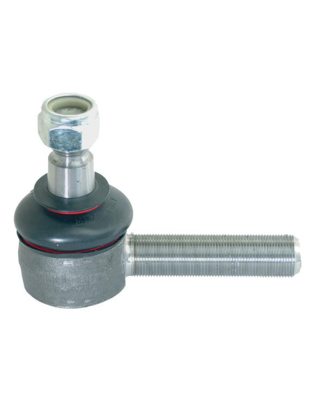 Rótula, Longitud: 119mm