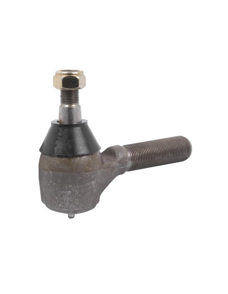 Rótula, Longitud: 135mm