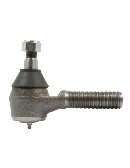 Rótula, Longitud: 135mm