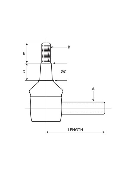 Rótula, Longitud: 211mm