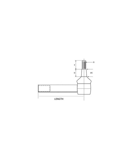 Rótula, Longitud: 81mm
