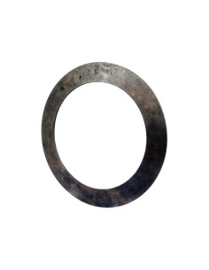 Placa del muelle Belleville