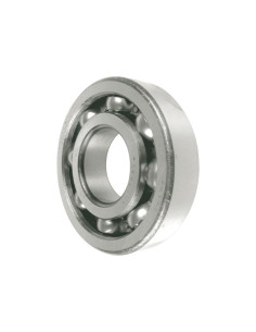 NTN SNR Rodamiento de Bola (6304)