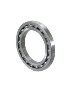 Sparex Rodamiento de Bola (16013)