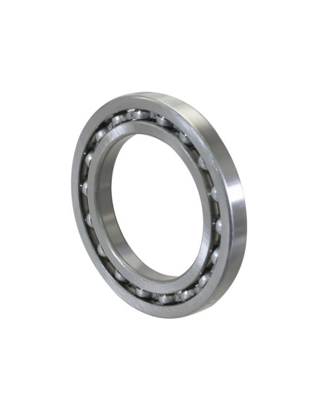 Sparex Rodamiento de Bola (16013)