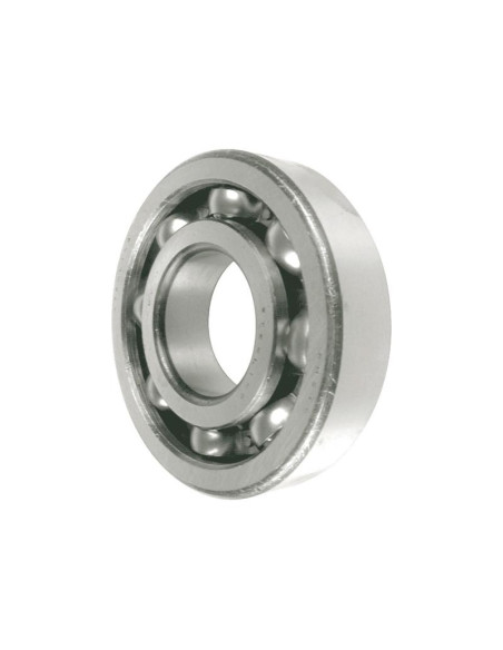 NTN SNR Rodamiento de Bola (6407)