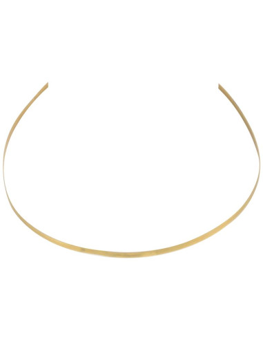 Anillo de soporte