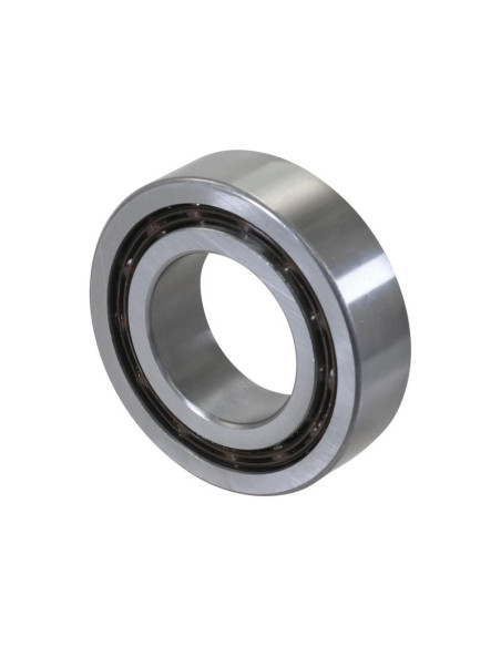 Sparex Rodamiento de Bola (4209BBTVH)
