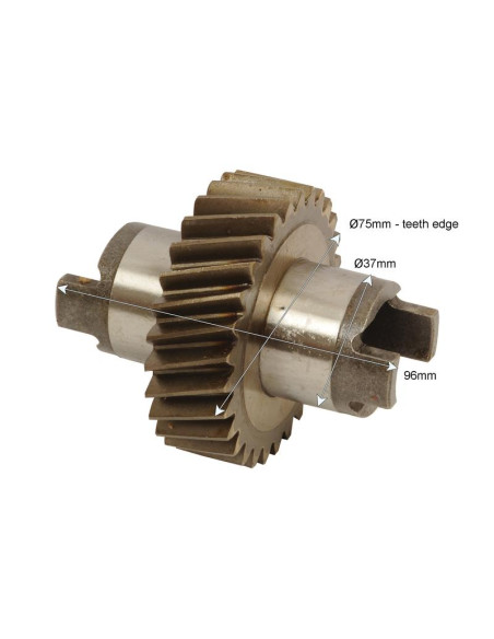 Engranaje de bomba hidráulica