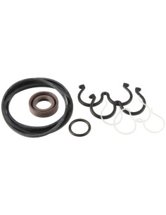 Juego de reparación de bomba hidráulica