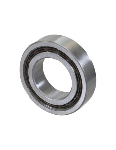 Sparex Rodamiento de Bola (4210BBTVH)