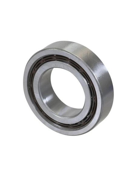 Sparex Rodamiento de Bola (4210BBTVH)