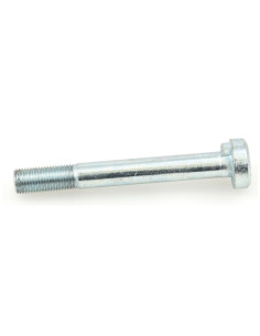 Pipped Tornillo Rueda M14 x 1.5 x 110mm 2