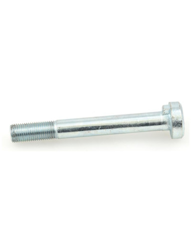 Pipped Tornillo Rueda M14 x 1.5 x 110mm