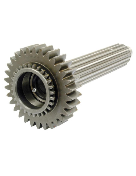 Eje Principal Trasero