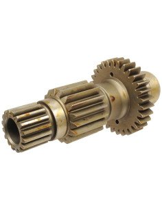 Engranaje Transmisión