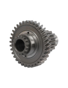 Engranaje Transmisión