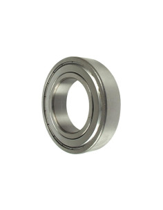 Sparex Rodamiento de Bola (6004ZZ)