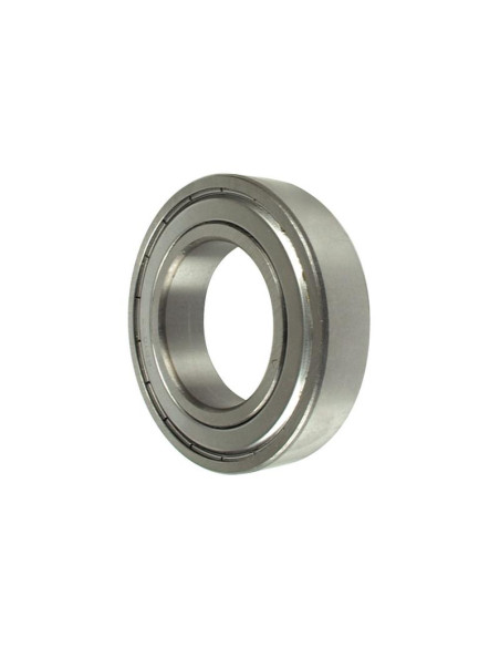 Sparex Rodamiento de Bola (6004ZZ)