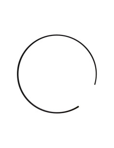 Ring Gear Snap Rings