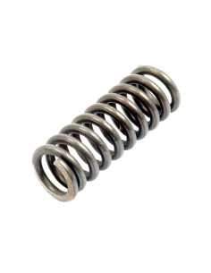 Muelle Embolo - Ø30mm