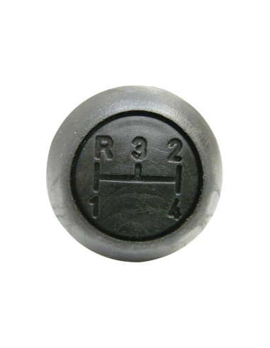 Pomo Palanca
