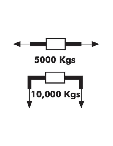 Cincha Amarre - 'D', Longitud: 5M (D Plate)