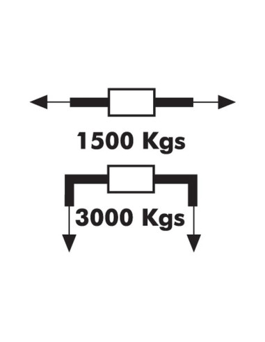 Cincha Amarre - 'D', Longitud: 5M (D Plate)