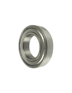 Sparex Rodamiento de Bola (6007ZZ)