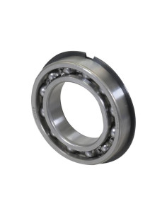 Sparex Rodamiento de Bola (6009NR)