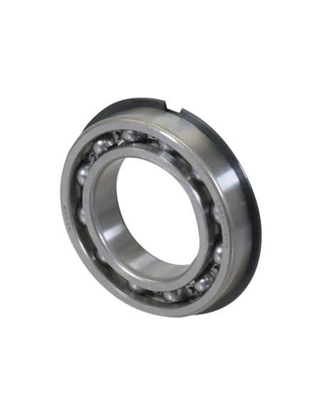 Sparex Rodamiento de Bola (6009NR)