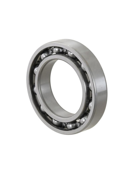 Sparex Rodamiento de Bola (6011)