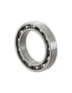 Sparex Rodamiento de Bola (6013)