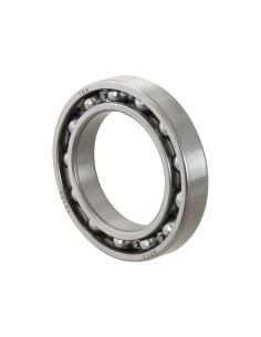 Sparex Rodamiento de Bola (6013) 2