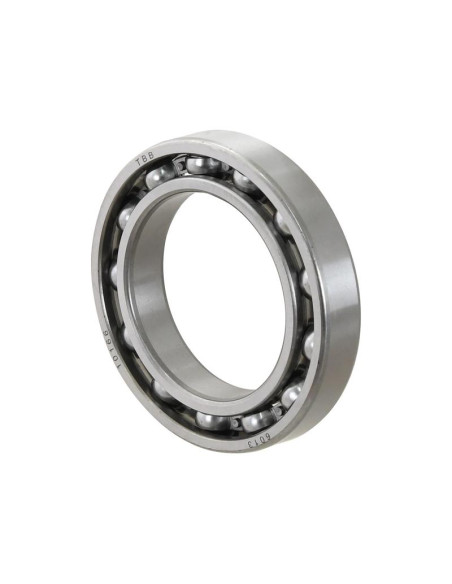 Sparex Rodamiento de Bola (6013)