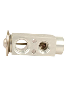 Válvula de Expansión 2