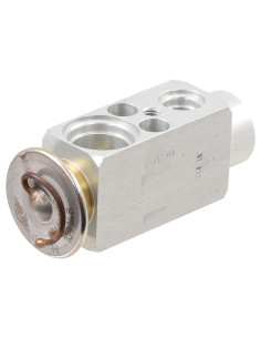 Válvula de Expansión