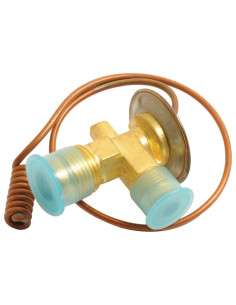 Válvula de Expansión