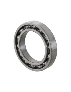 Sparex Rodamiento de Bola (6016) 2