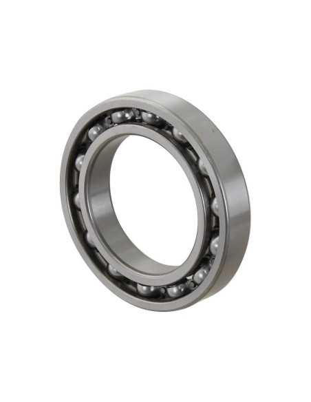 Sparex Rodamiento de Bola (6016)