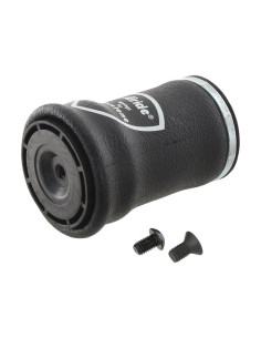 Kit de mantenimiento del resorte neumático 2