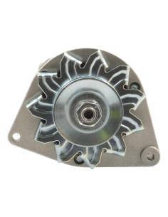 Alternador (Mahle) - 14V, 33 Amperios 2