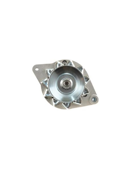 Alternador (Mahle) - 14V, 33 Amperios
