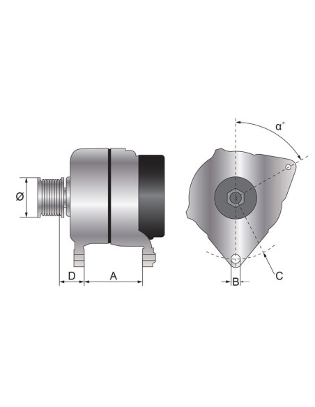 Alternador (Mahle) - 14V, 33 Amperios