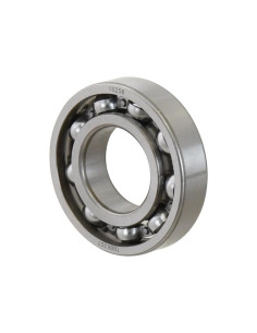 Sparex Rodamiento de Bola (6207)