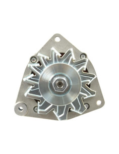 Alternador (Mahle) - 14V, 55 Amperios 2