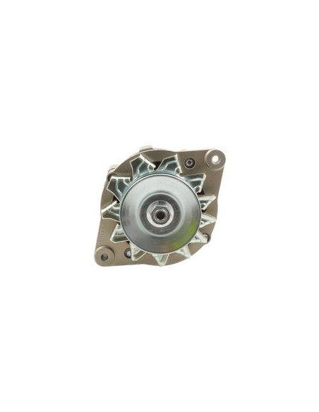 Alternador (Mahle) - 14V, 55 Amperios